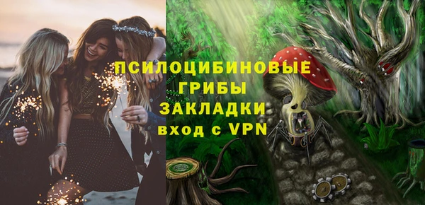 спайс Медвежьегорск