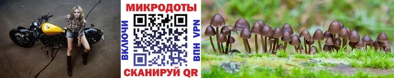 Галлюциногенные грибы Cubensis  Купить закладки  Шарья 